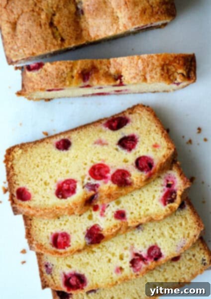 Cranberry Orange Bread