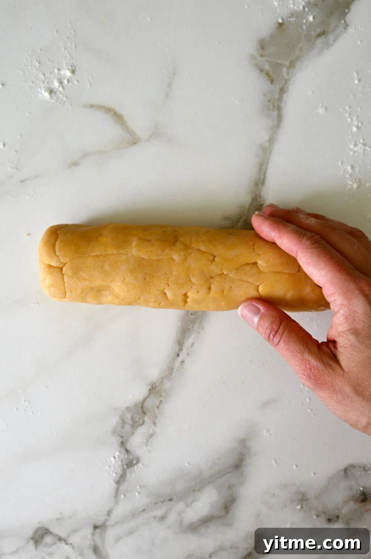 Savory shortbread dough shaped into a log.