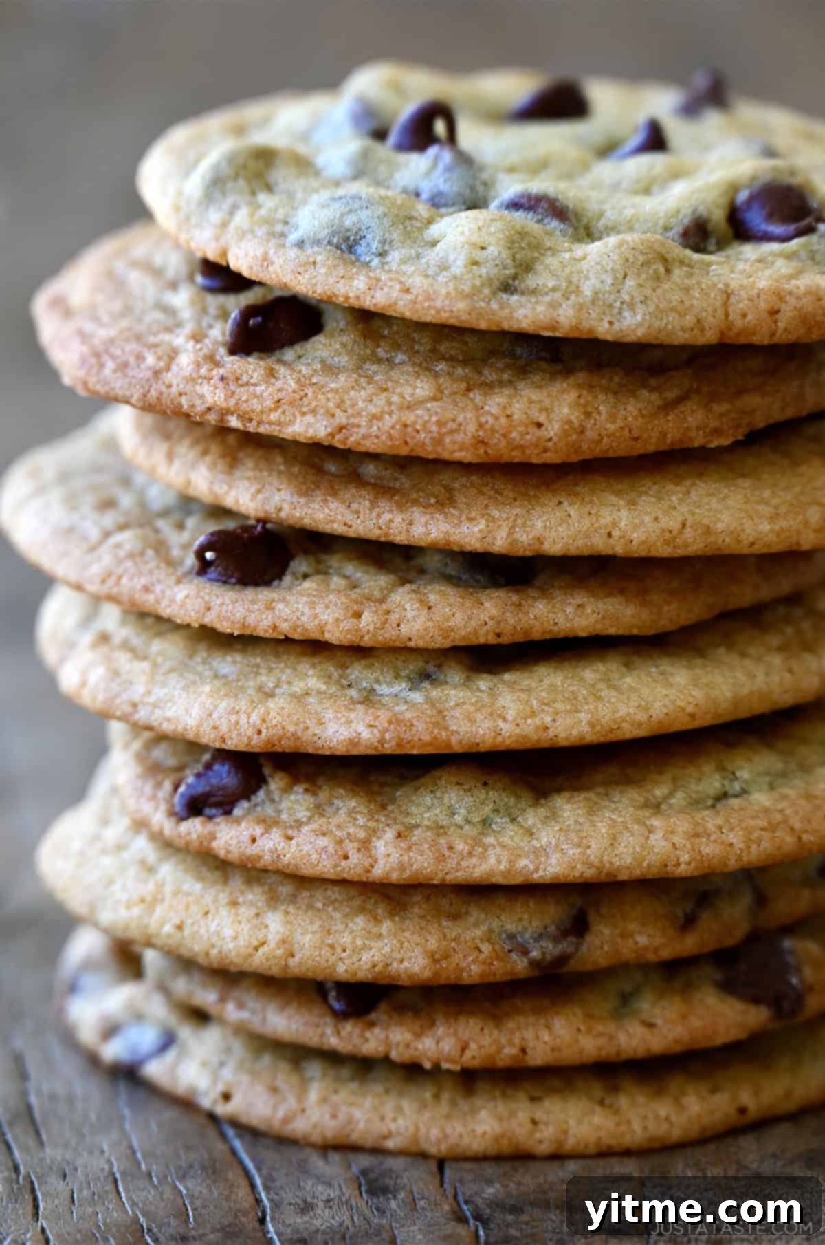A beautiful stack of freshly baked Toll House chocolate chip cookies.