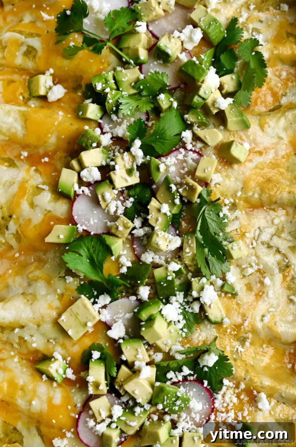 Melty cheese atop green enchiladas topped with diced avocado, sliced radishes, cilantro and cojita cheese. 