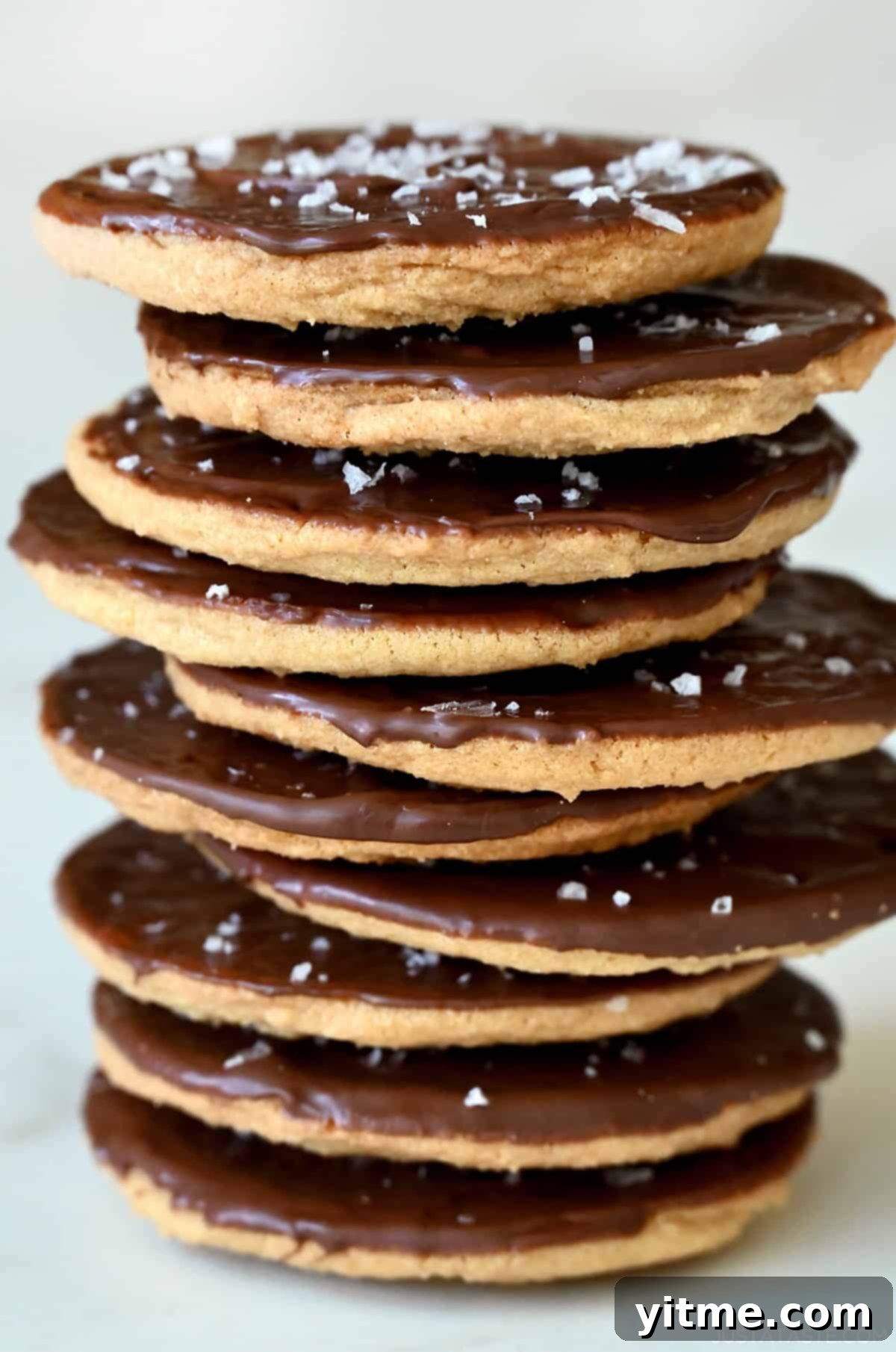 Vanilla Bean Dream Cookies 12 A tall stack of chocolate-dipped chipless cookies. A visually stunning display of homemade goodness.