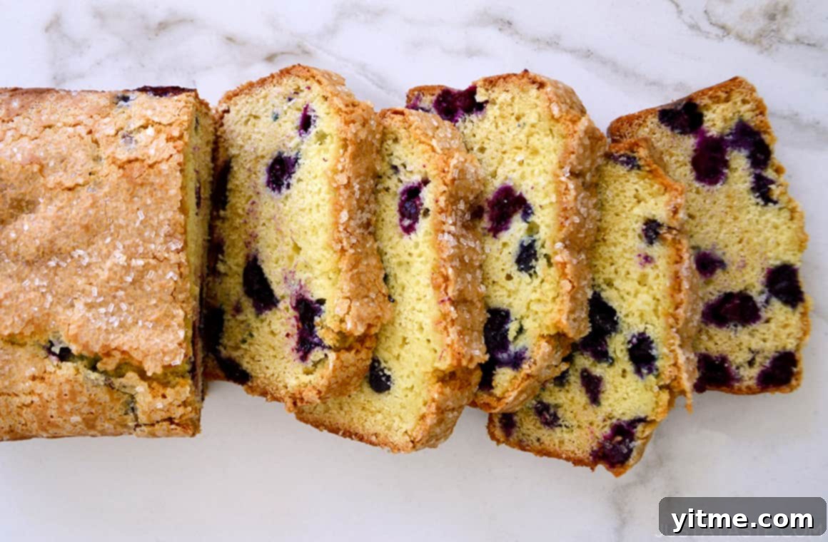 Close-up view of Blueberry Orange Juice Bread slices