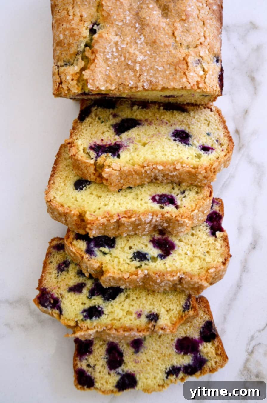 A top-down view of slices of Blueberry Orange Juice Bread