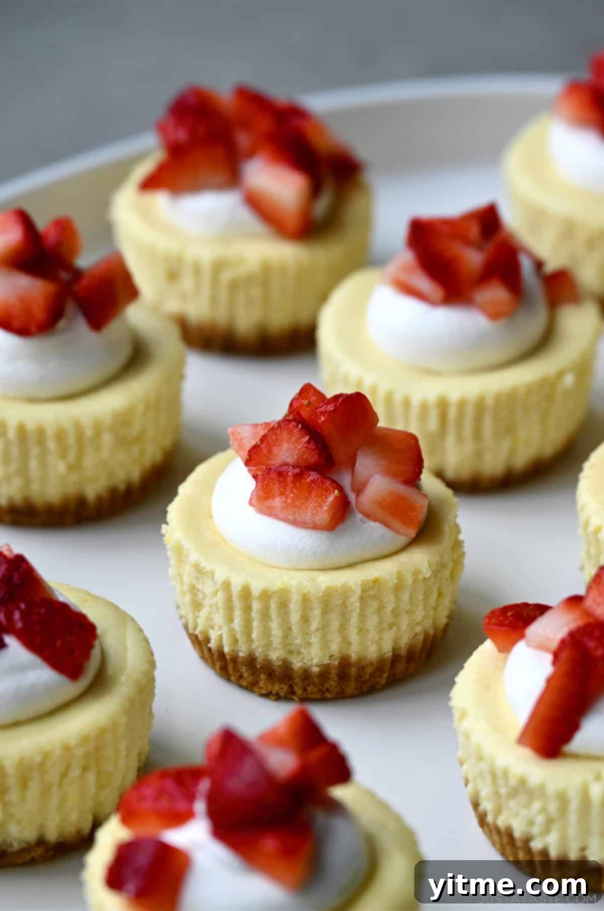 Mini cottage cheese cheesecakes topped with whipped cream and strawberries