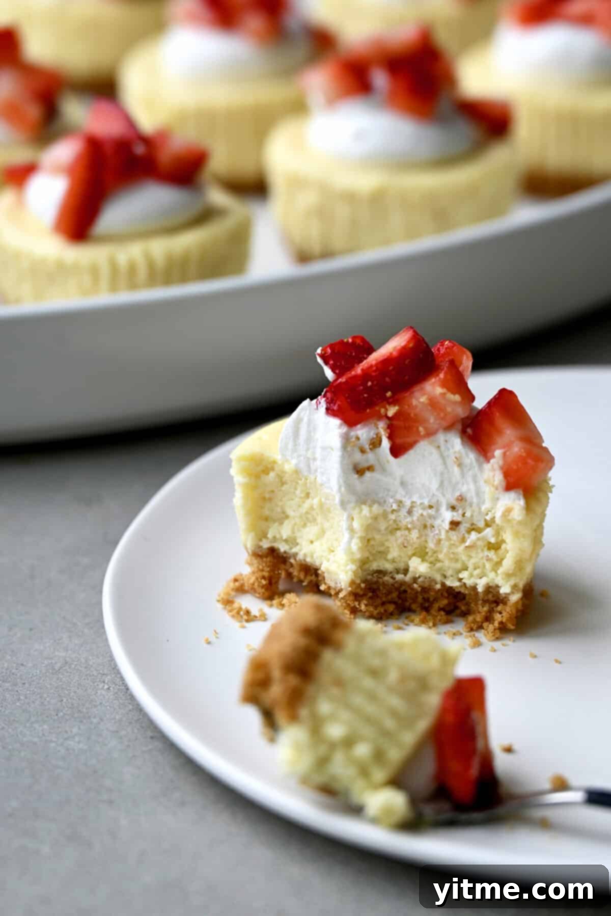 Cottage cheese cheesecake cup