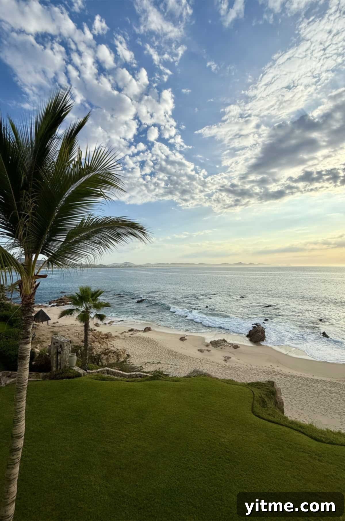 Mexico sunrise with palm trees and green grass overlooking a beach - A perfect backdrop for travel inspiration.