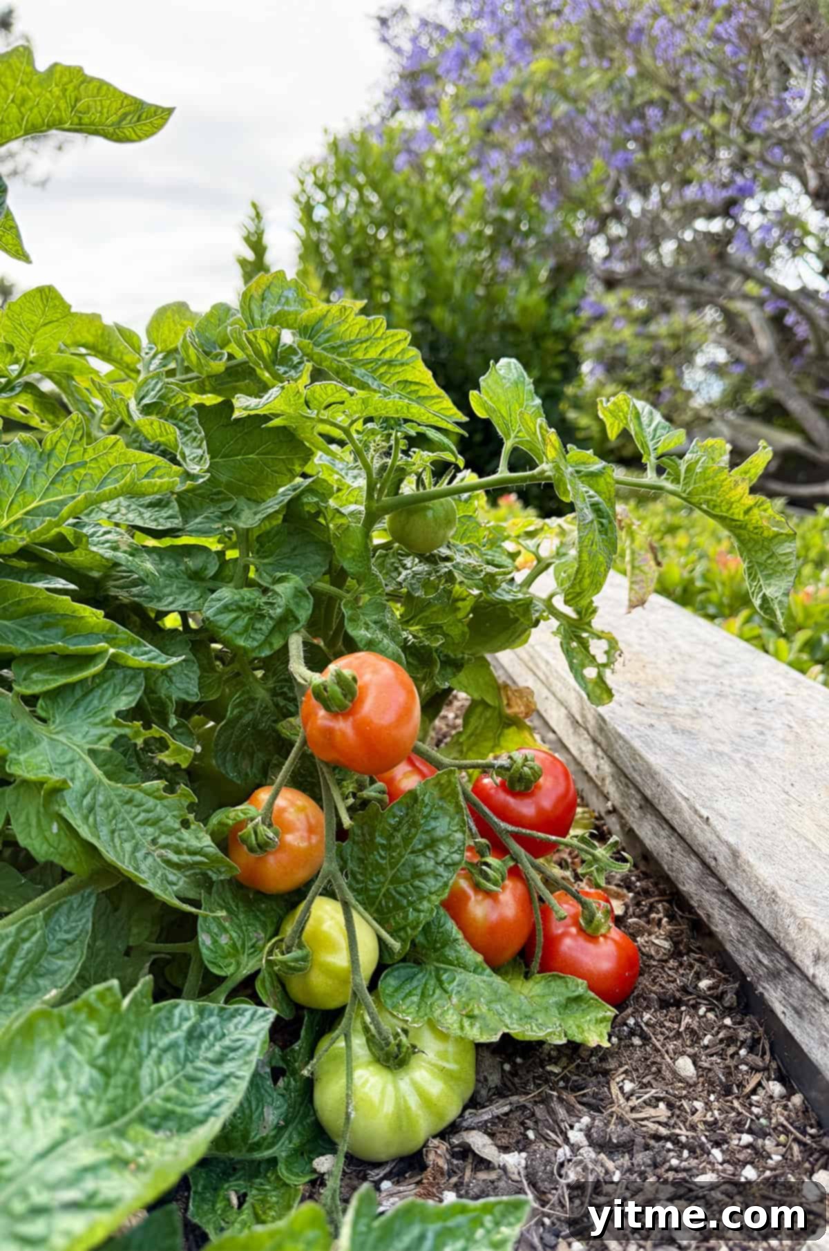 Kelly's Monthly Edit: July 2025 11 A family gathered around a beautifully set dinner table, enjoying a meal together at Noni's house, showcasing warmth, laughter, and togetherness.