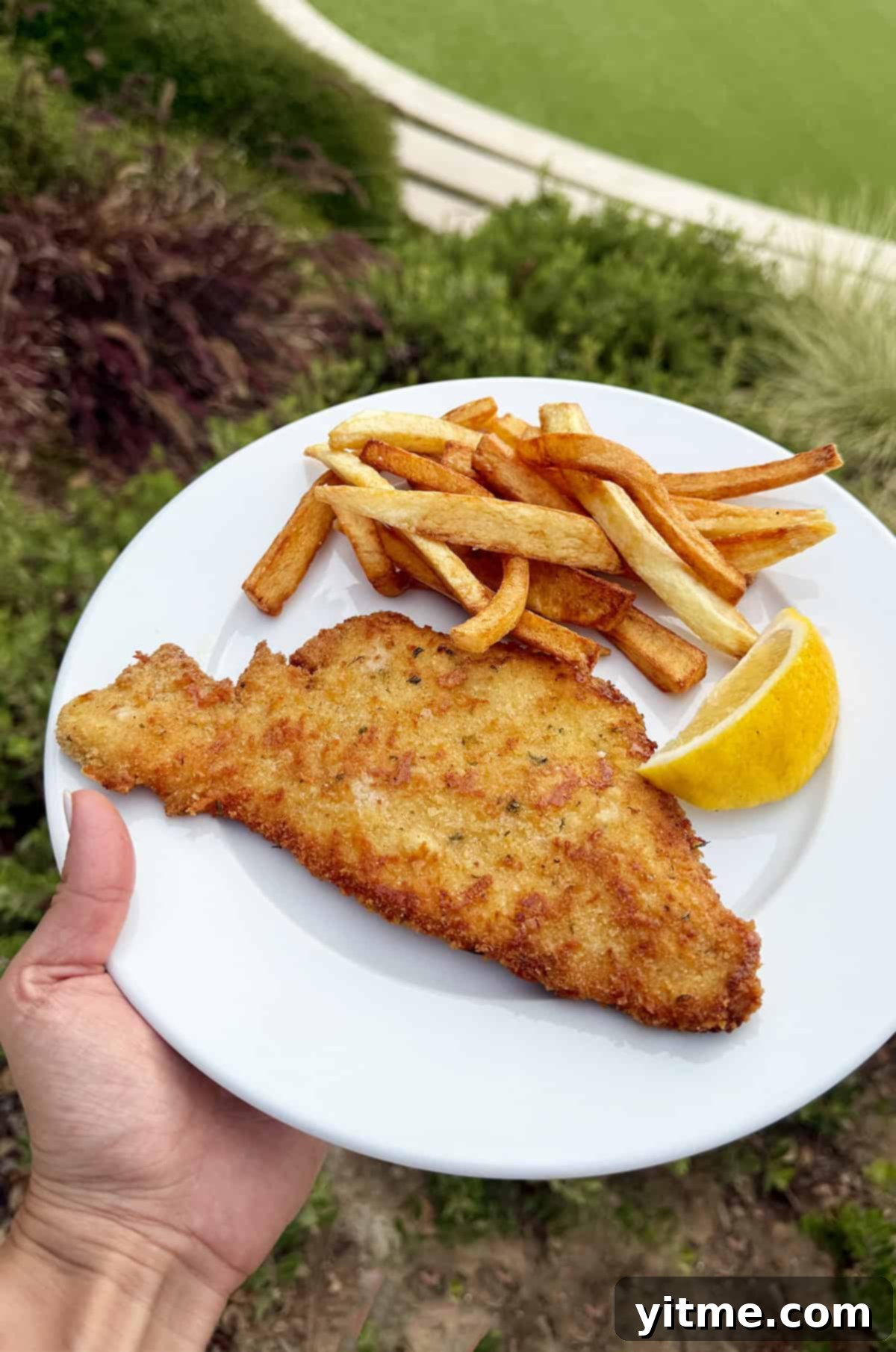 Kelly's Monthly Edit: July 2025 9 A close-up of delicious, golden-brown chicken cutlets, perfectly cooked and arranged on a serving dish, highlighting their crispy texture and inviting presentation.