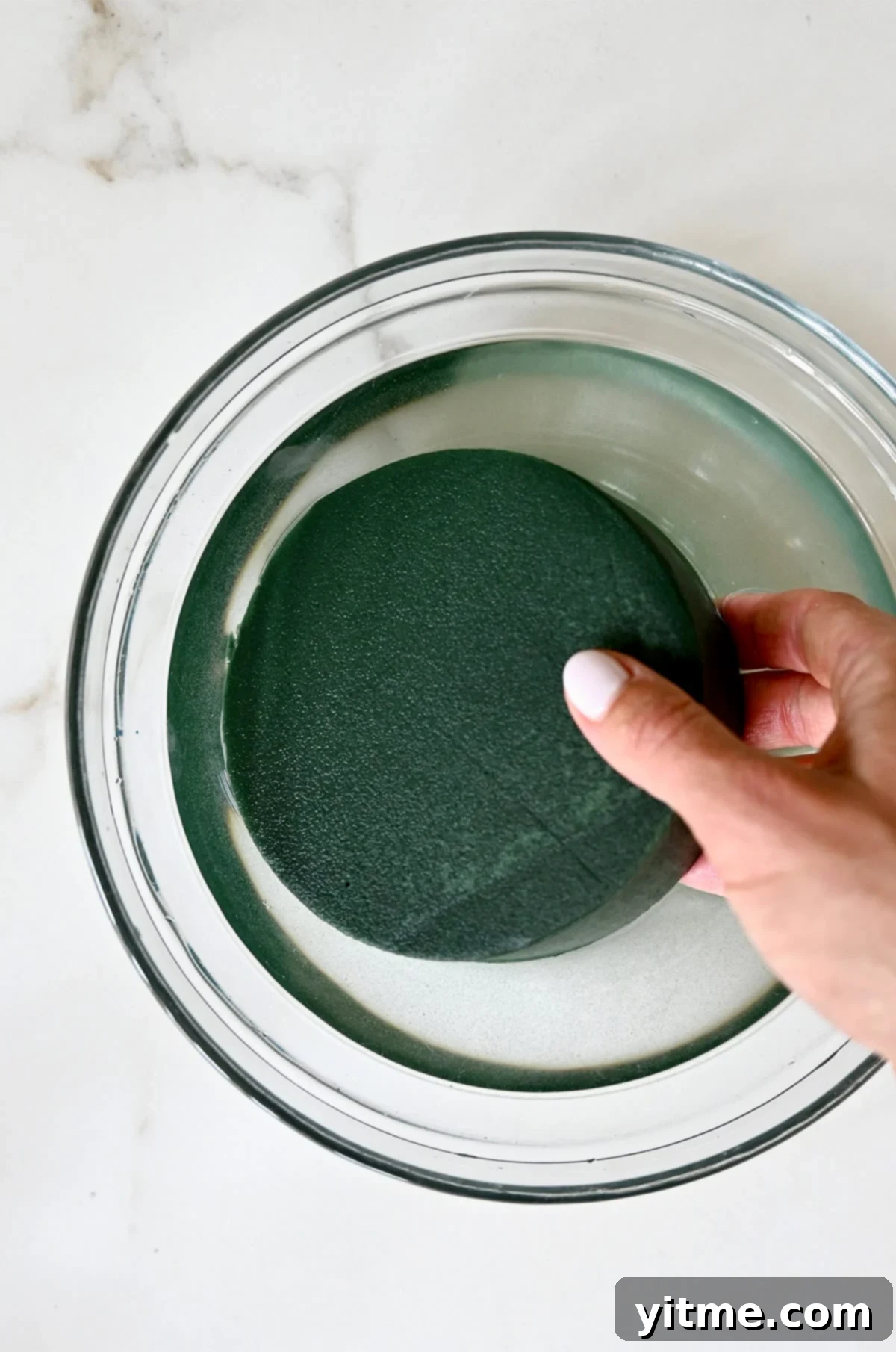 A piece of floral foam soaks in a bowl of water.