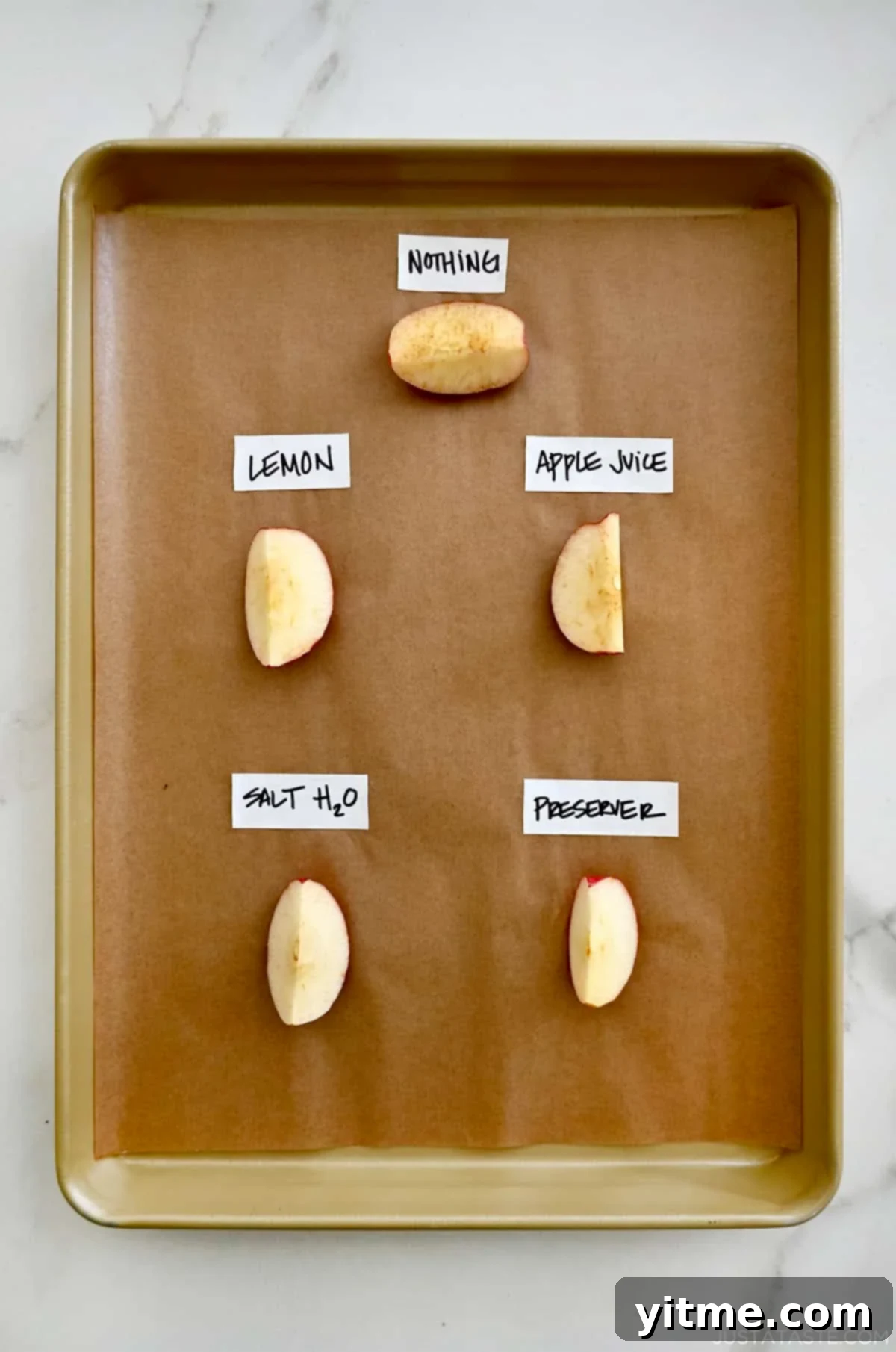 A side-by-side comparison of five apple slices, each treated with a different browning prevention method: lemon juice, salt water soak, fruit preserver, apple juice, and a control slice. The salt water soaked apple visibly appears the freshest.