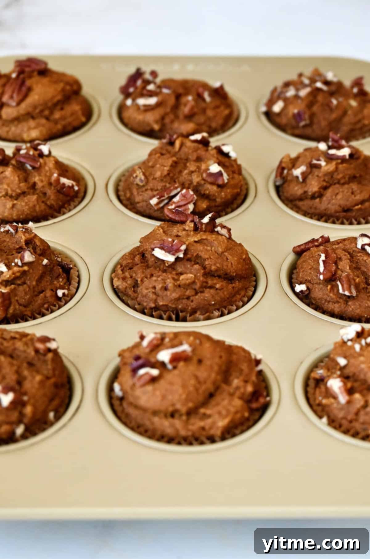 Wholesome Pumpkin Delights 10 A muffin tin filled with freshly baked pumpkin muffins, golden brown and adorned with crunchy pecans, straight from the oven.