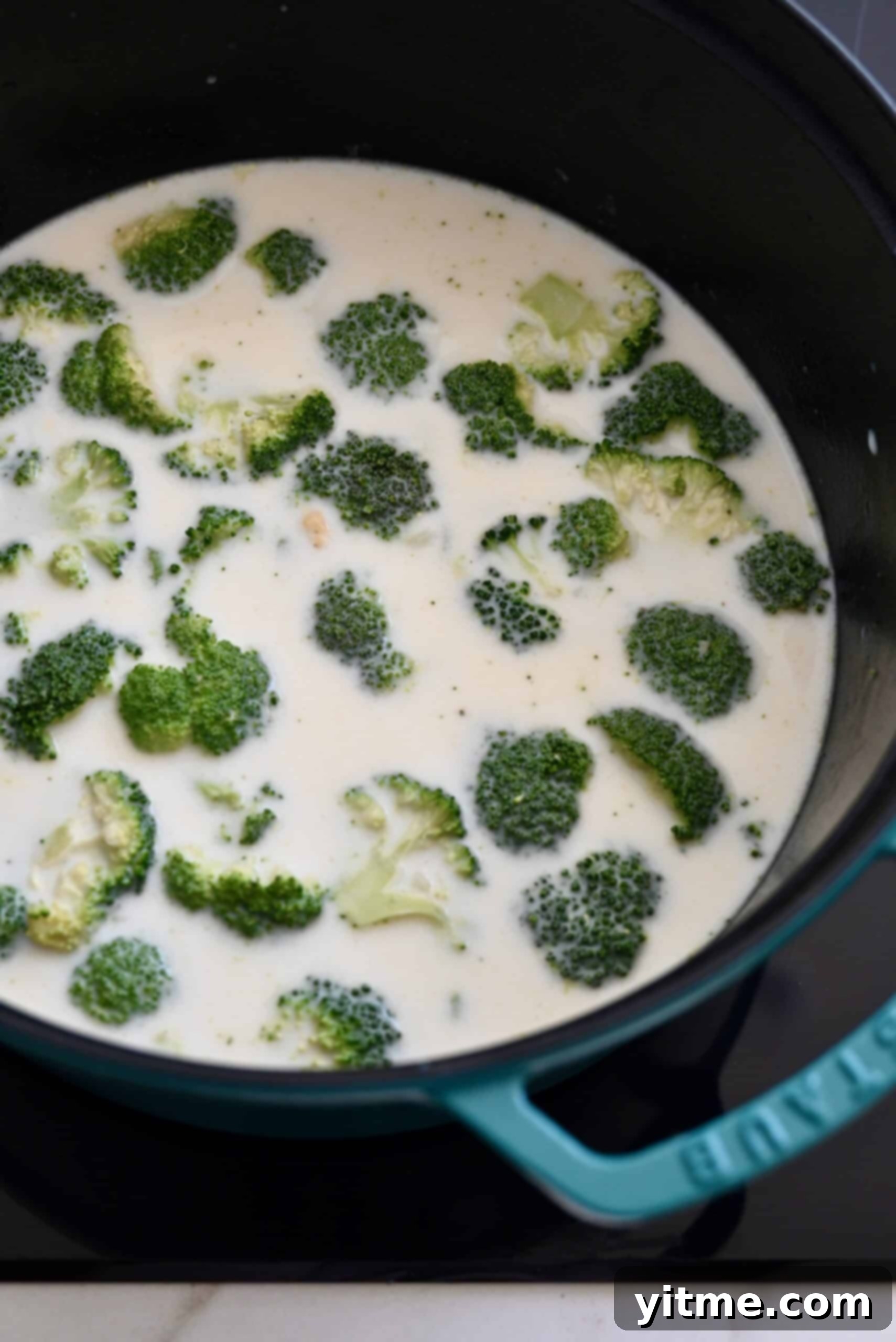 Creamy Broccoli Cheddar Soup 8 Broccoli florets simmering in milk and chicken stock in a stockpot.