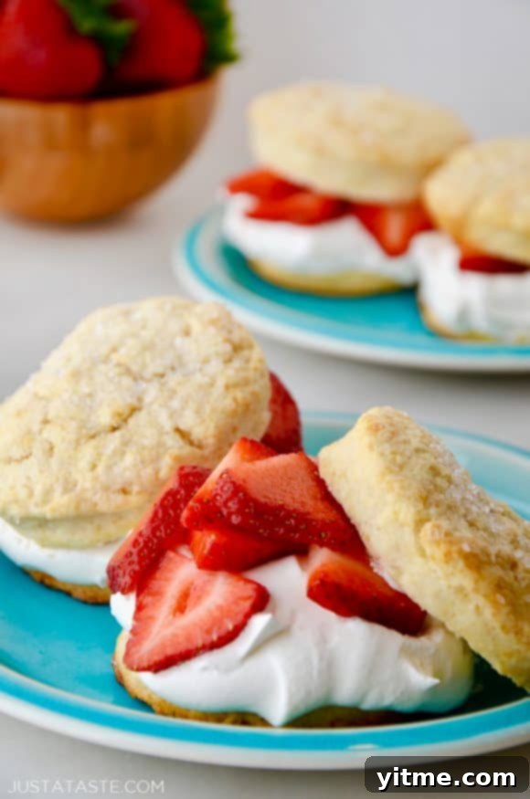 Easy Strawberry Shortcake on a blue plate, with a wooden bowl of strawberries and more shortcakes in the background, perfect for summer.