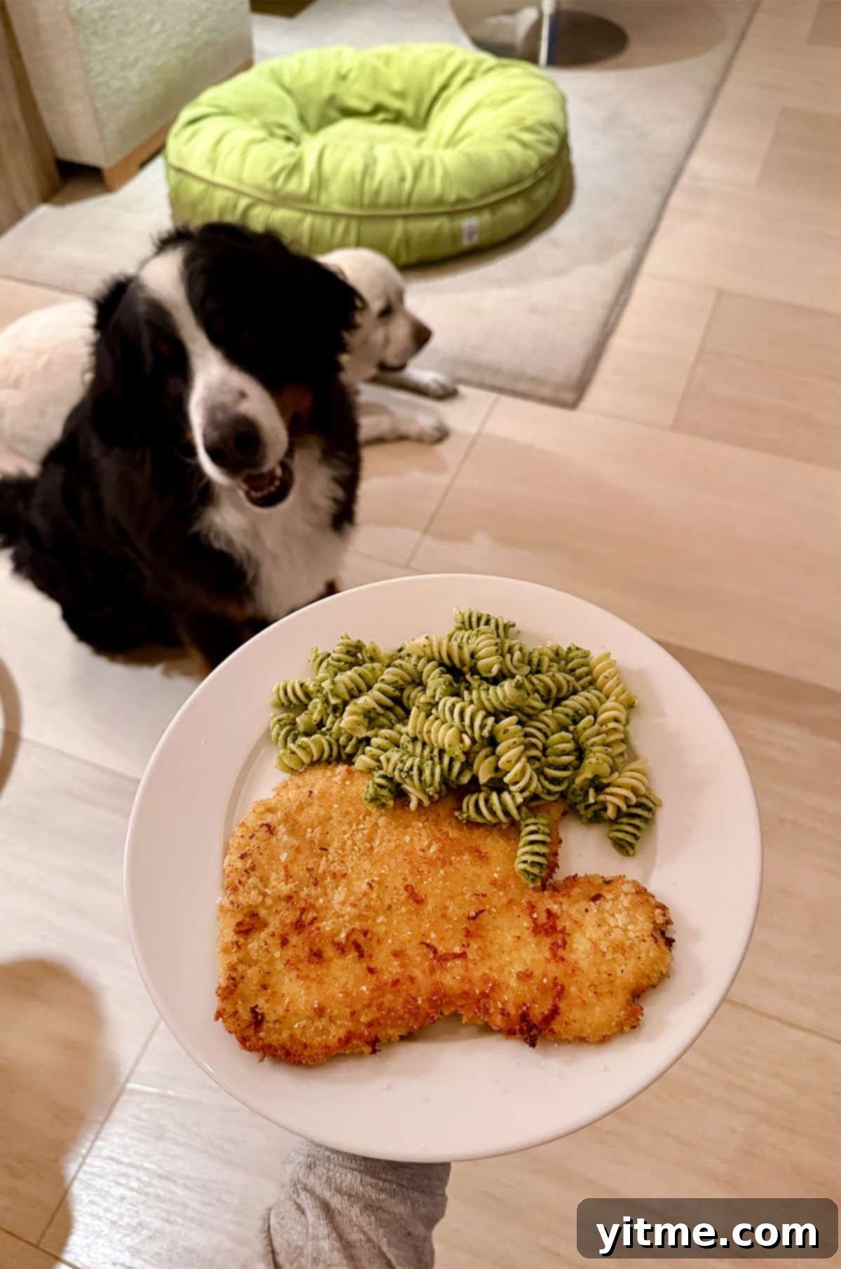 Delicious chicken cutlets and pesto on a dinner table