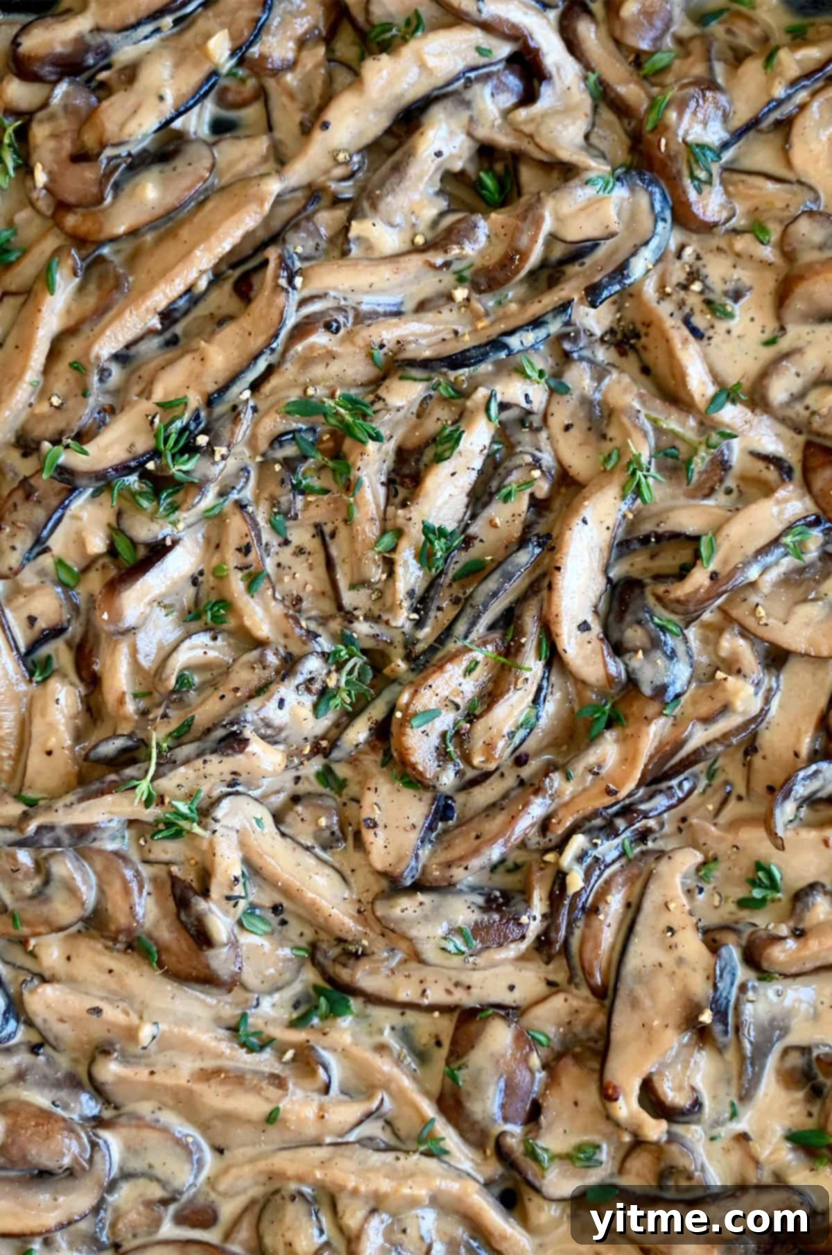 Sliced cremini and shiitake mushrooms in creamy sauce.