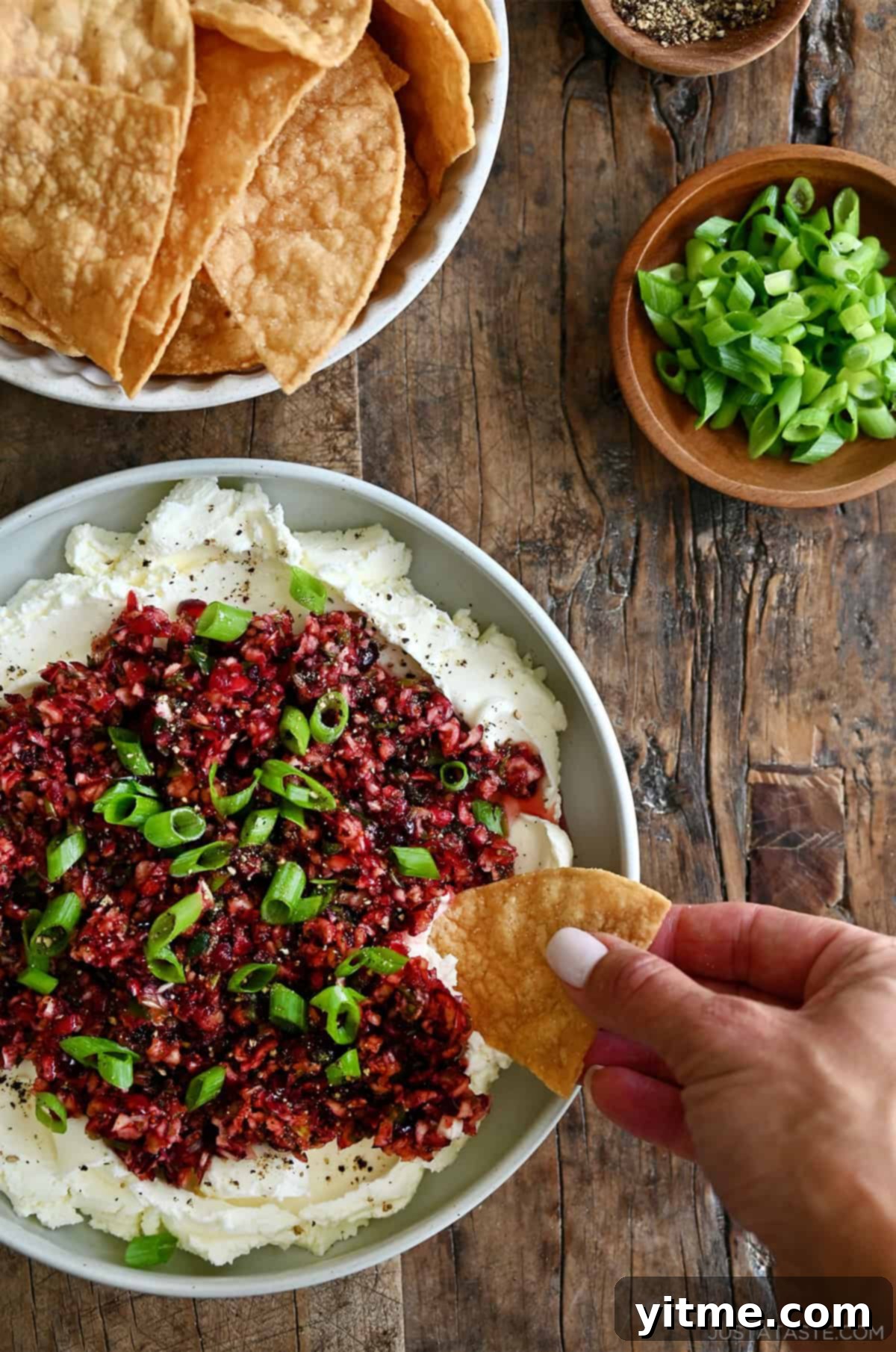 Cream cheese topped with a cranberry jalapeño relish being dipped into with a chip. A festive and flavorful holiday appetizer.