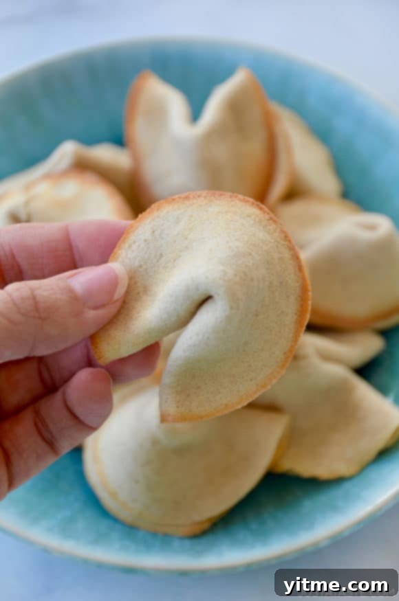 Hand holding Homemade Fortune Cookie with more cookies on a plate in background