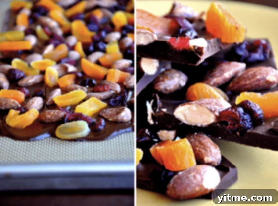 Chocolate Bark with Dried Fruit