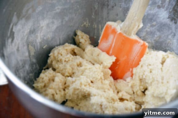 Nutella Waffle Sandwich Cookies